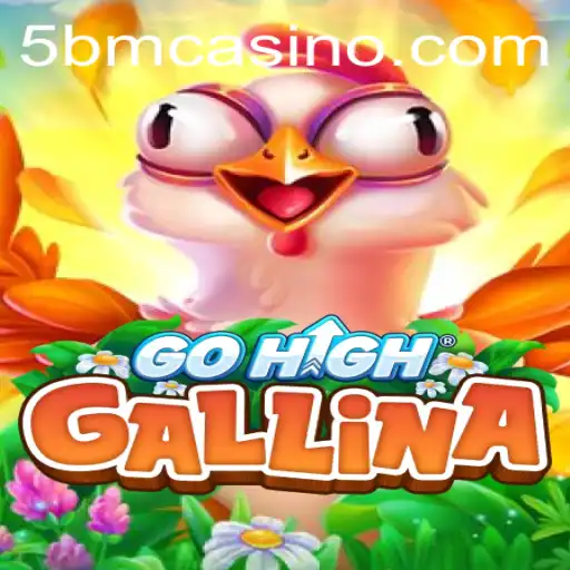 Discover the Excitement of GoHighGallina